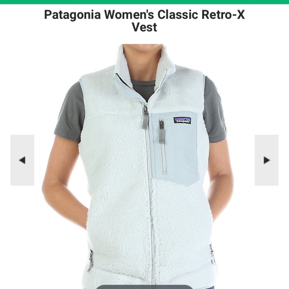 Patagonia retro x vest